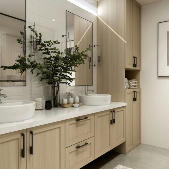 dripping-springs-bathroom-renovation-modern